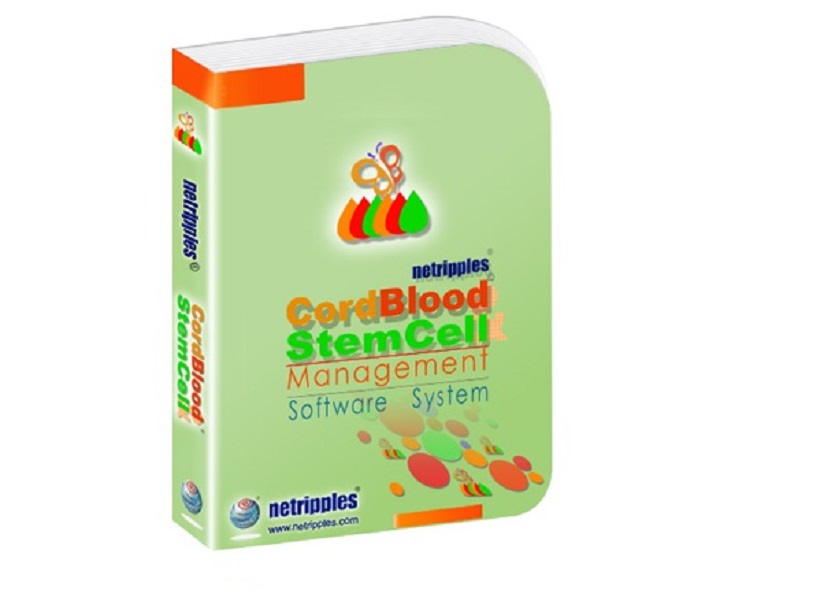 Stem Cell And Cord Blood Stem Cell And Cord Blood
